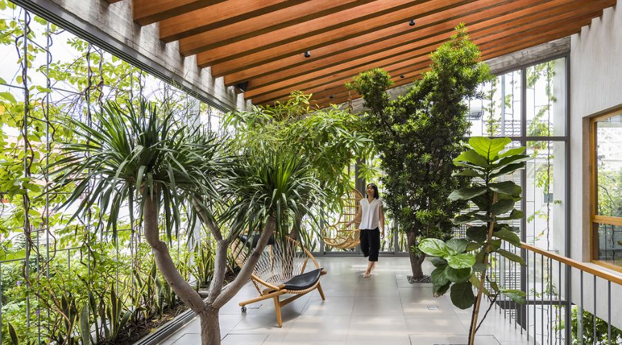 Biophilic Designs Interior Design | The Pennywize